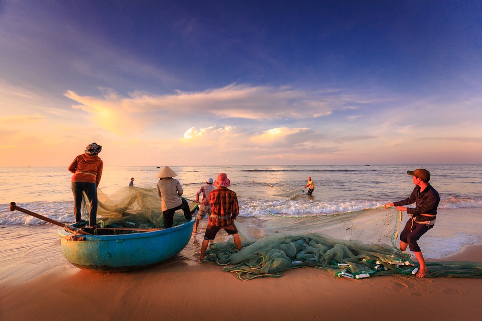 cảnh đánh bắt cá ở biển Sầm Sơn - Bãi biển Sầm Sơn thuộc tỉnh nào